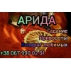 Ясновидящая .  Гадание .  Киев .  Любовная магия.  Снятие негатива .  Киев.